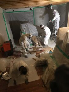 black mold removal techs at work
